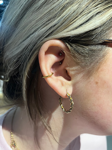 Explore seagull tattoo ideas, creative tattoo ideas in Evansville, available at Evil Twins Piercing Studio