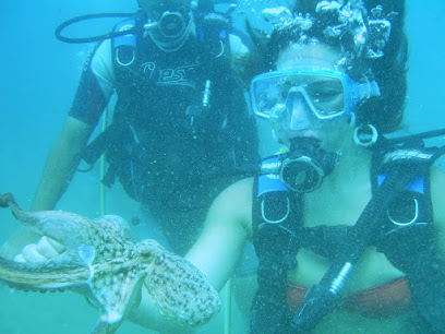 Akdeniz Yunus Diving Scuba Antalya