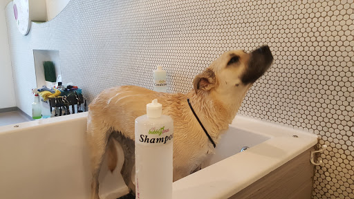 Pet Groomer «Bubbly Paws Dog Wash & Grooming», reviews and photos, 949 Grand Ave, St Paul, MN 55105, USA