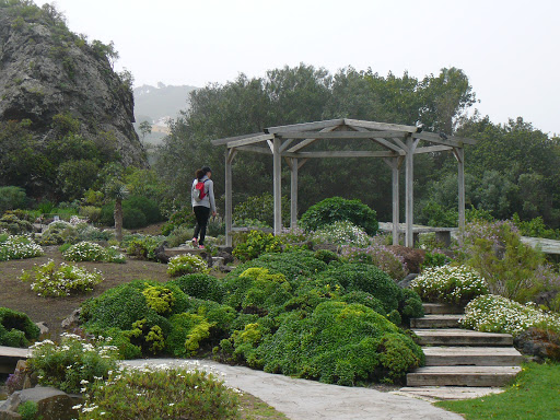 Jardines botanicos en Gran Canaria