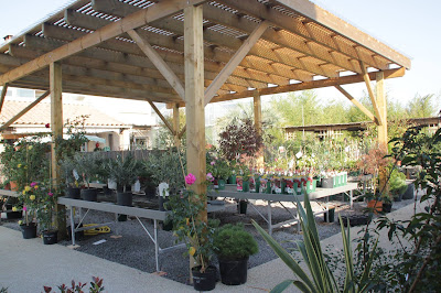 Jardinerie Braize à Pierrelatte