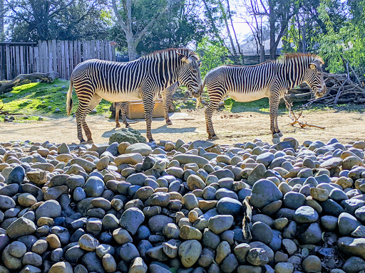 Zoo «Sacramento Zoo», reviews and photos, 3930 W Land Park Dr, Sacramento, CA 95822, USA