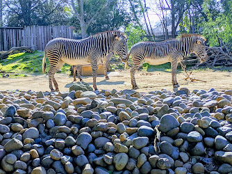 Sacramento Zoo