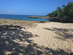 Playa Baracoa'in fotoğrafı vahşi alan