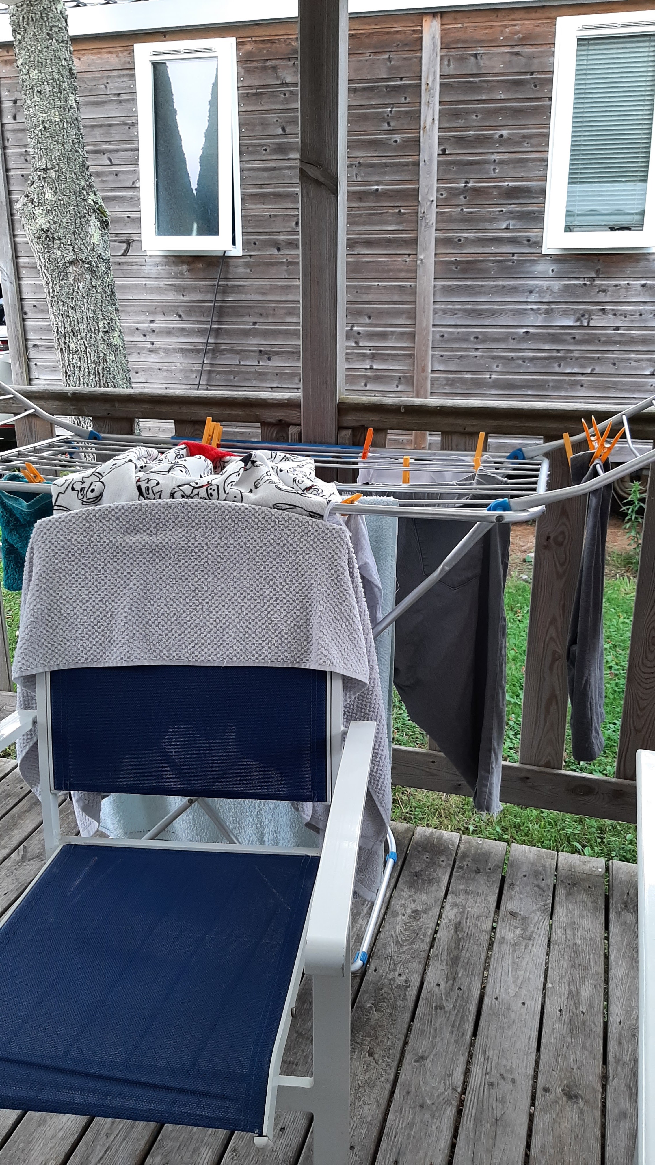 Photo n° 3 de l'avis de Ragot.a fait le 05/09/2021 à 12:12