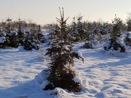 Farm «Abbey Farms», reviews and photos, 2855 Hart Rd, Aurora, IL 60502, USA