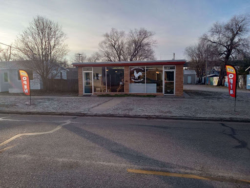 Chicken guy's & supplies