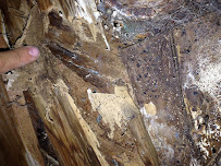 Gold Coast Pest Control - Photo 2 - Car repair in , Oxnard