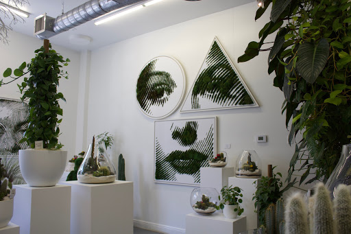 Interior Plant Service «Plant The Future, Inc.», reviews and photos, 2511 NW 2nd Ave, Miami, FL 33127, USA