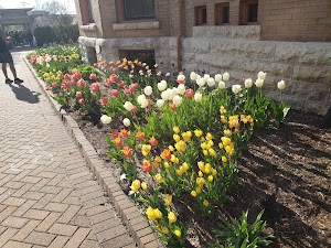 Allen Centennial Garden - photo 16