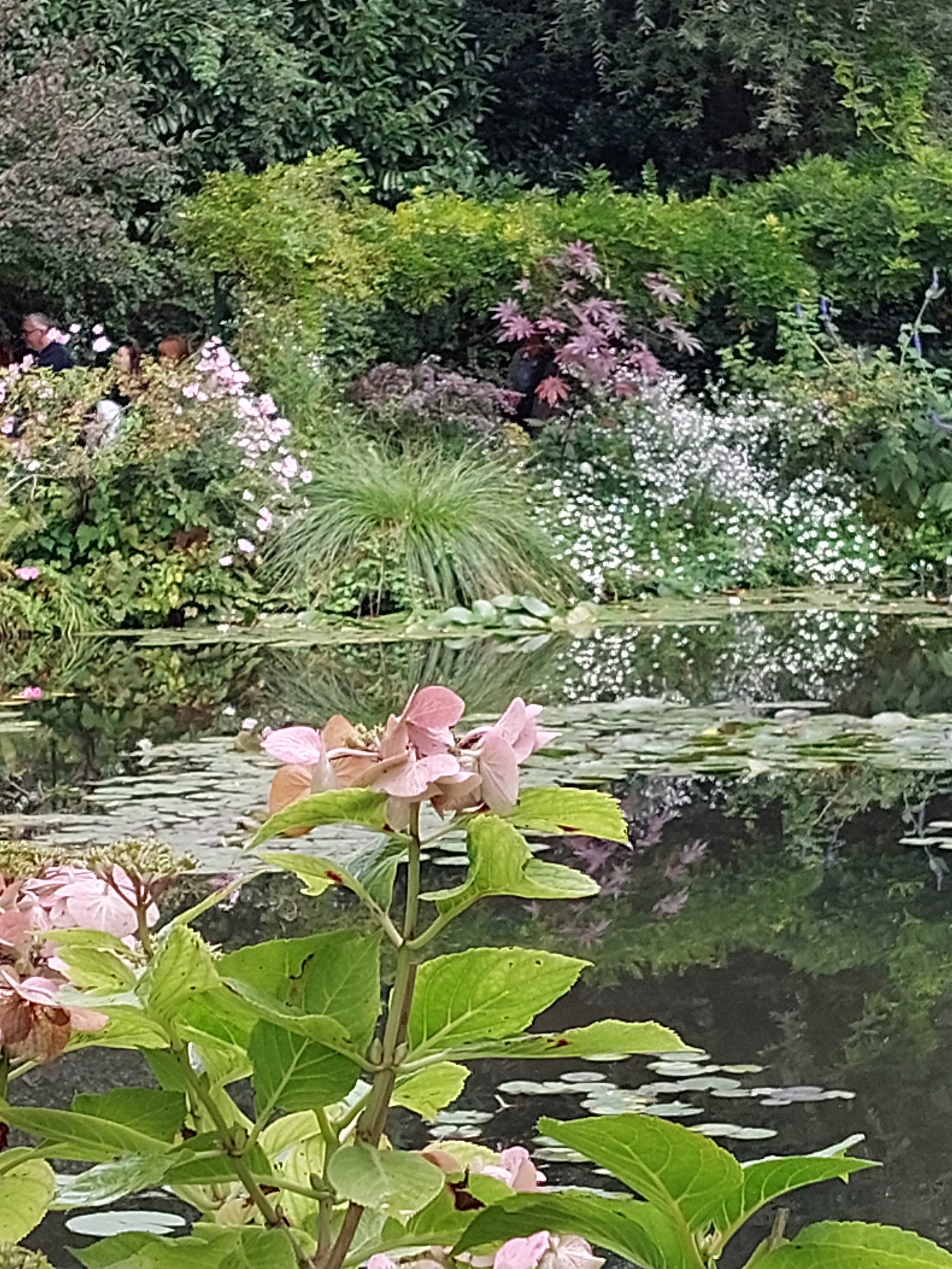 Photo n° 3 de l'avis de Dominique.i fait le 05/10/2023 à 16:56