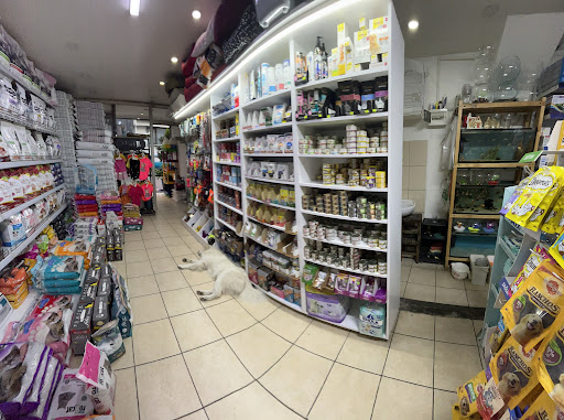 Turkuaz Pet Shop Levent | Kağıthane İstanbul - Evcil hayvan mağazası