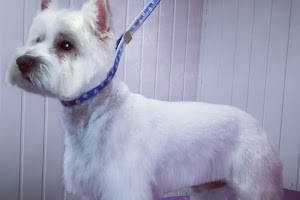 V I P Dog Grooming Services