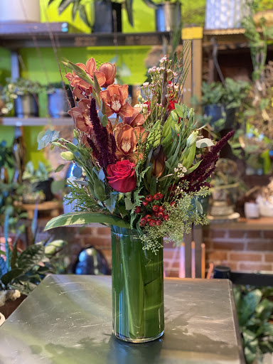 Florist «Babylon Floral», reviews and photos, 1223 E 17th Ave, Denver, CO 80218, USA