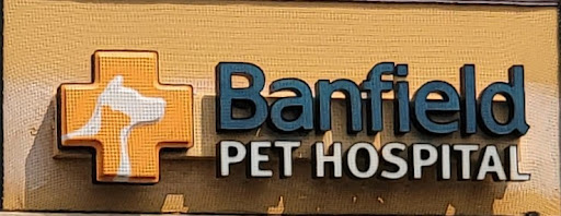 Pet Supply Store «PetSmart», reviews and photos, 2435 Prairie Center Pkwy, Brighton, CO 80601, USA