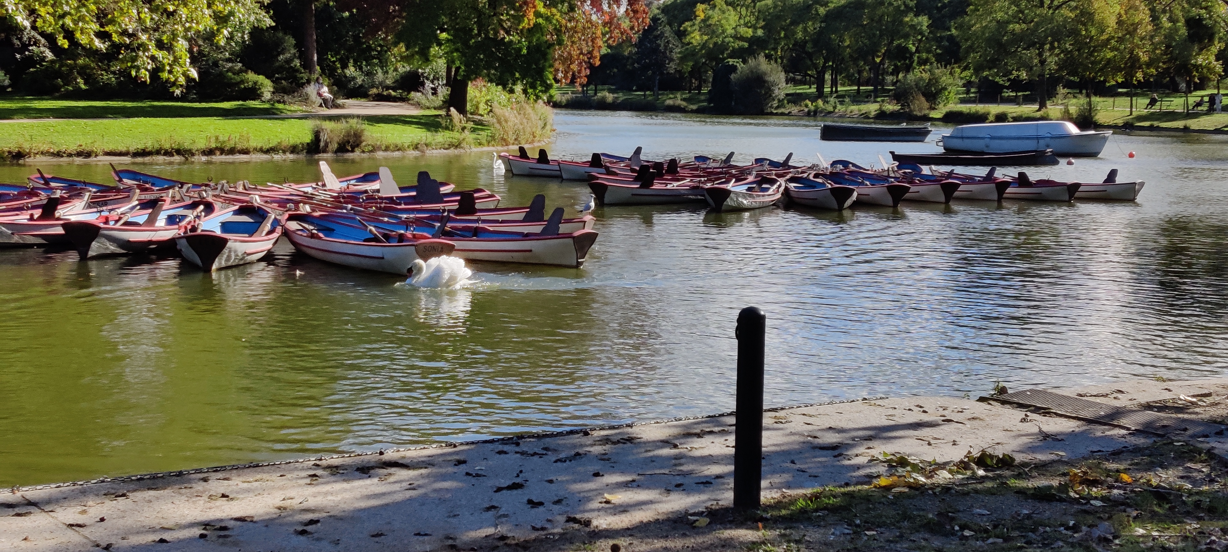 Photo n° 8 de l'avis de Jean.o fait le 15/10/2021 à 08:16