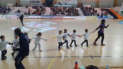 US SAINTES HANDBALL à Saintes