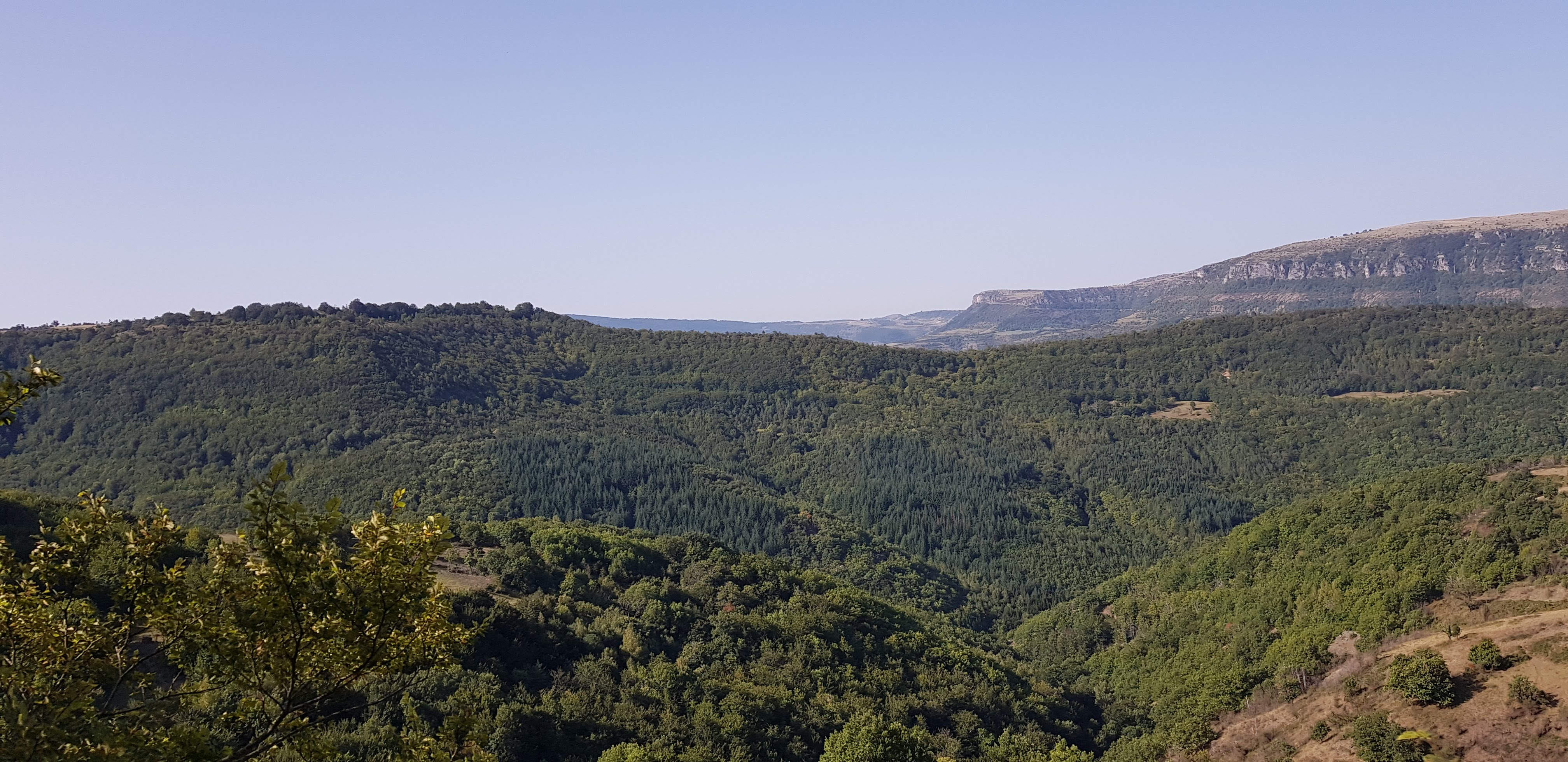 Photo n° 2 de l'avis de marie.e fait le 17/09/2019 à 10:24