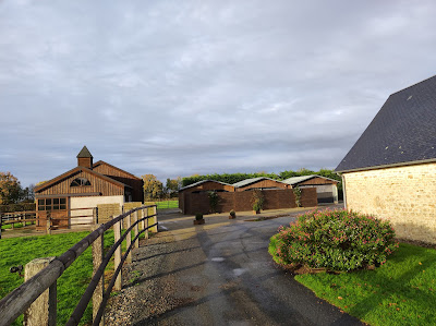 Élevage thomas Levesque Haras du Cotentin à Picauville