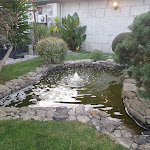 Photo n°3 de l'avis de Pedro.i fait le 11/07/2021 à 14:37 sur le  Zé Pataco à Canas de Senhorim