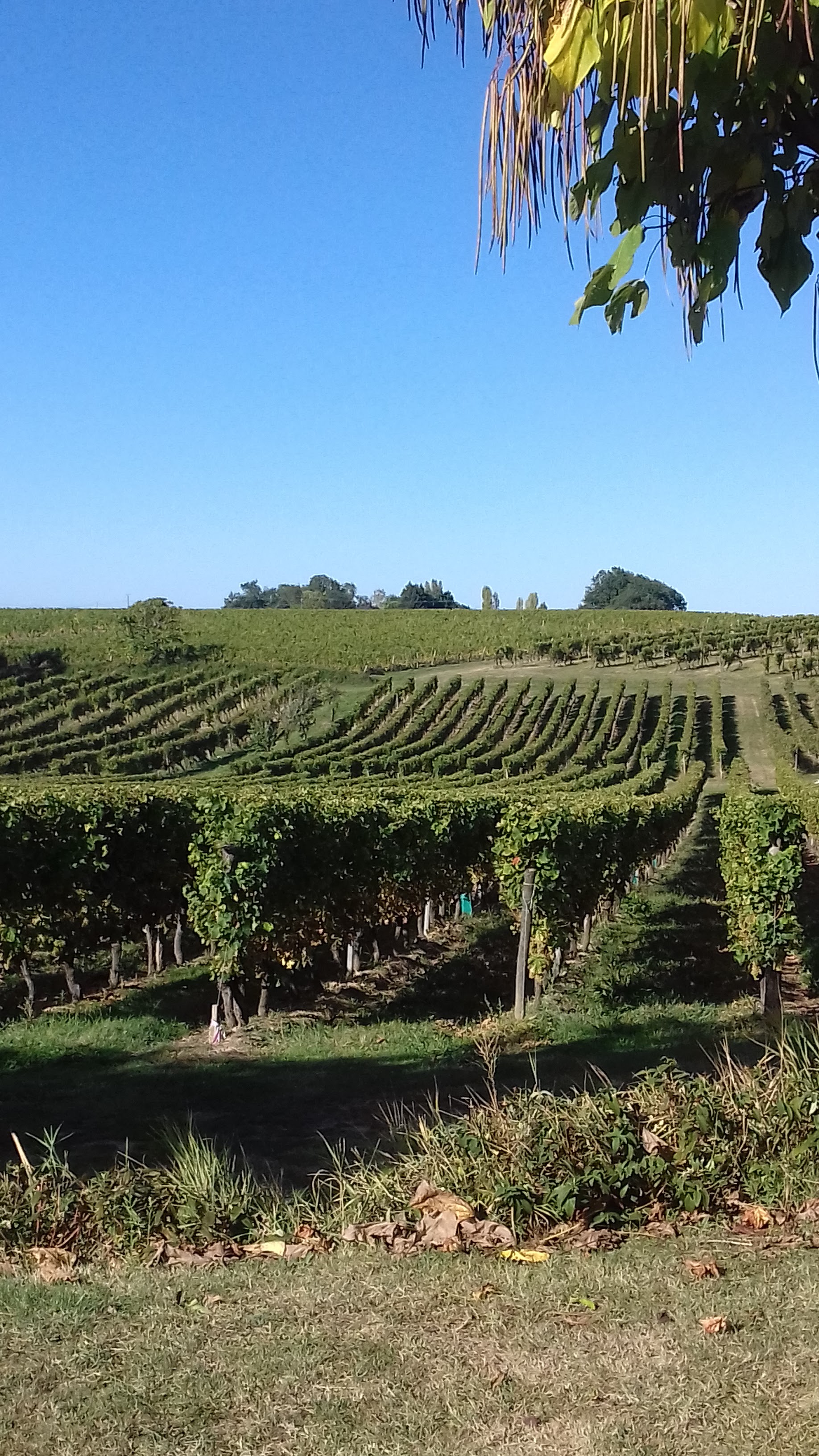 Photo n° 2 de l'avis de canu.a fait le 26/09/2018 à 06:37