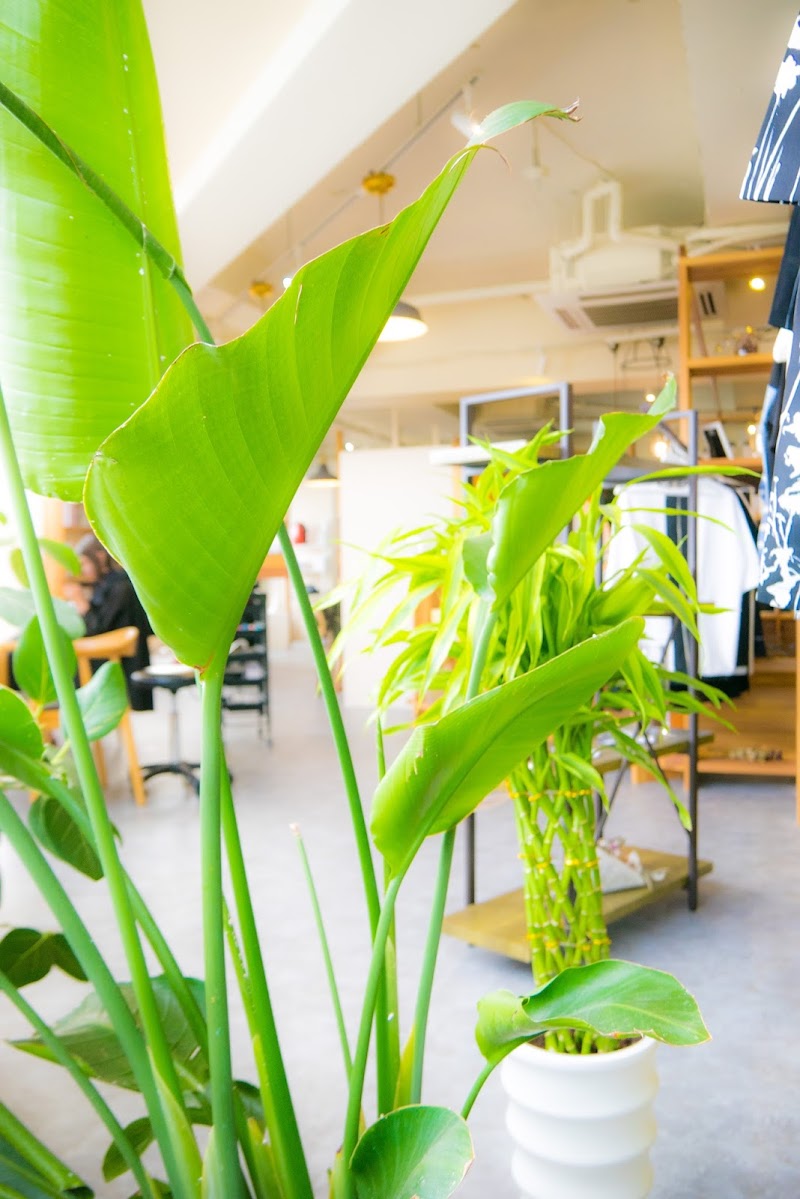 Liliy Jr茨木本店 リリー 大阪府茨木市中穂積 美容院 グルコミ