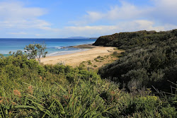 Photo de Rennies Beach avec rivage droit, long