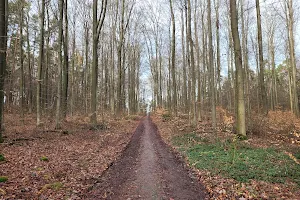 Naturpark Hochtaunus Wanderweg Am Heidekrug image