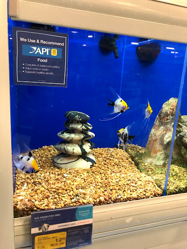 Pet Supply Store «PetSmart», reviews and photos, 5013 S Cleveland Ave, Fort Myers, FL 33907, USA