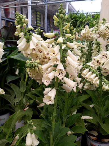 Home Improvement Store «The Home Depot», reviews and photos, 1336 Bristol Pike, Bensalem, PA 19020, USA