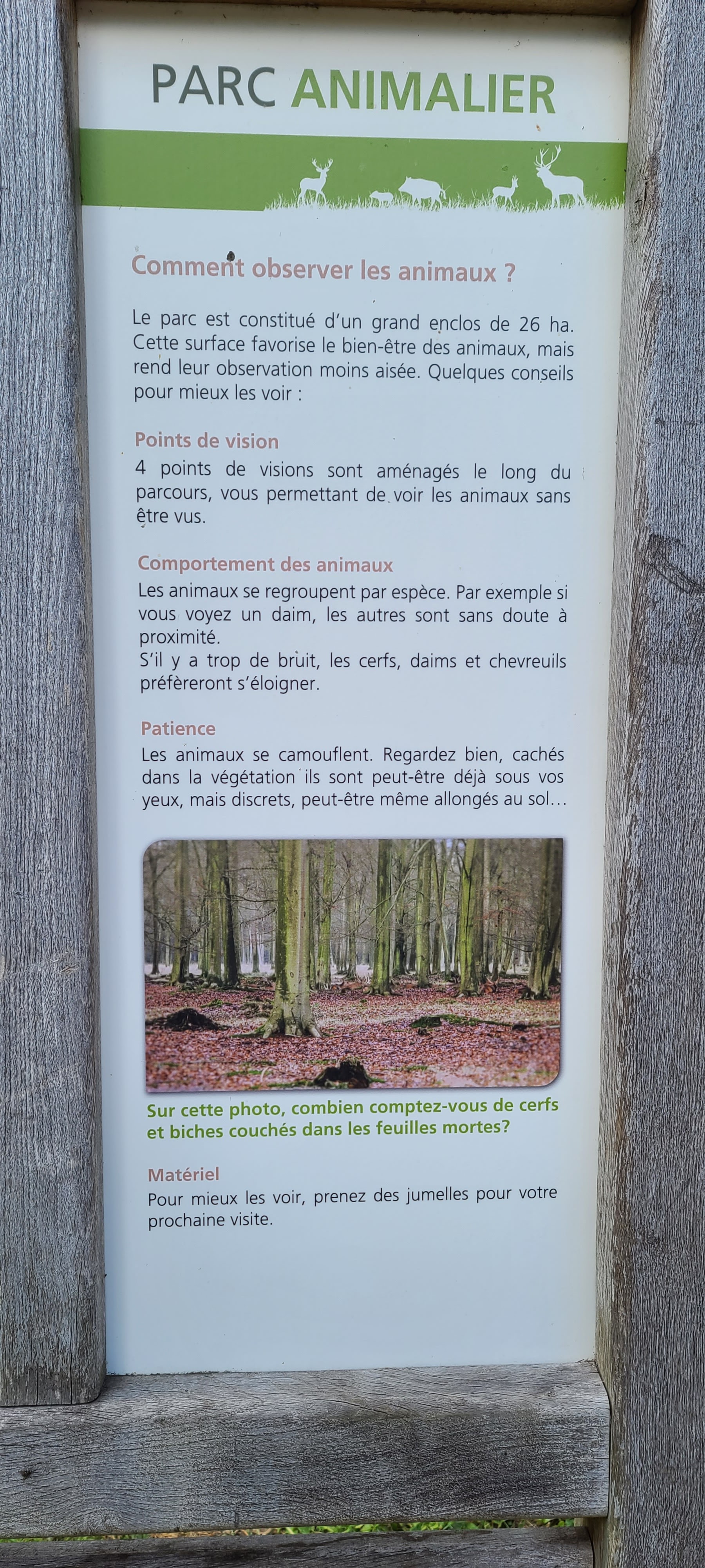 Photo n° 8 de l'avis de Pierre.o fait le 03/07/2022 à 19:43