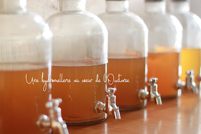La soif du temps à Montrabé