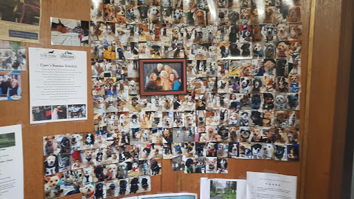 Gift Shop «Impressions of Saratoga», reviews and photos, 368 Broadway, Saratoga Springs, NY 12866, USA