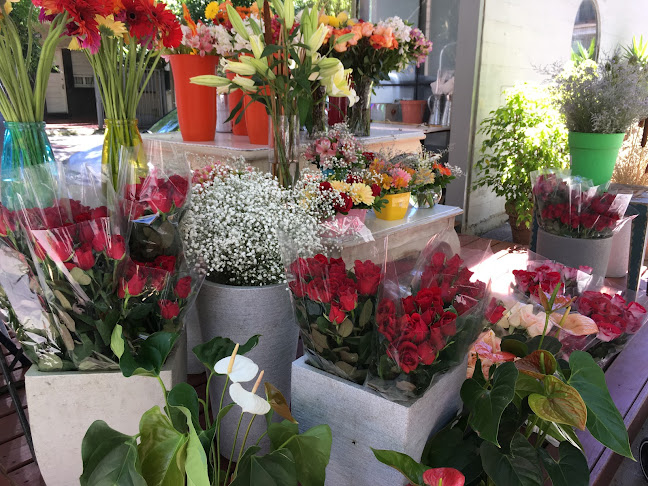 Opiniones de Akari flores en Montevideo - Floristería