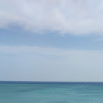 Photo n°2 de l'avis de Sebastiano.o fait le 21/09/2020 à 17:43 sur le  Ristorante Lido Tropical à Tropea