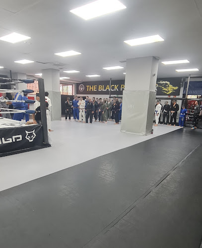 THE BLACK PANTHER GYM