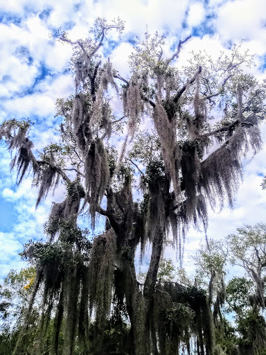Park «George C. McGough Nature Park - The Narrows», reviews and photos, 11901 146th St N, Largo, FL 33774, USA