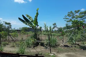 Lembaga Adat Rakyat Penunggu Kampong Tanjung Gusta image
