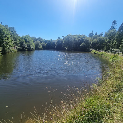 Foret de Beffou à Loguivy-Plougras