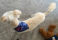 Fluff N Stuff - Car repair in South Euclid, OH, Cleveland - Rated 4.3/5