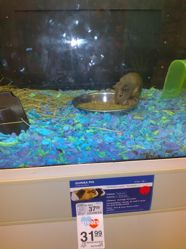 Pet Supply Store «PetSmart», reviews and photos, 3351 Jefferson Davis Hwy, Alexandria, VA 22305, USA