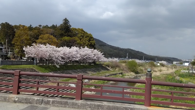 住吉神社前桜並木