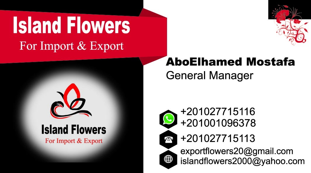 Flower Island Import & Export