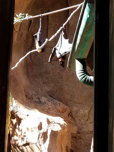 Performing Arts Theater «Blue Man Group», reviews and photos, 6000 Universal Blvd, Orlando, FL 32819, USA