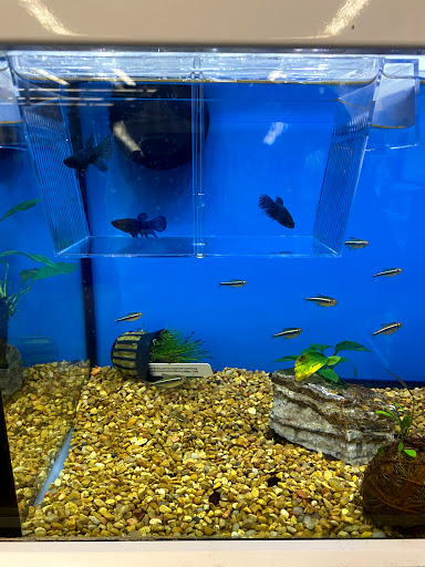 Pet Supply Store «Petco Animal Supplies», reviews and photos, 1011 University Blvd #100, Suffolk, VA 23435, USA