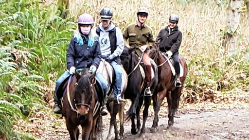 Misty Acres horse Lessons and trail rides