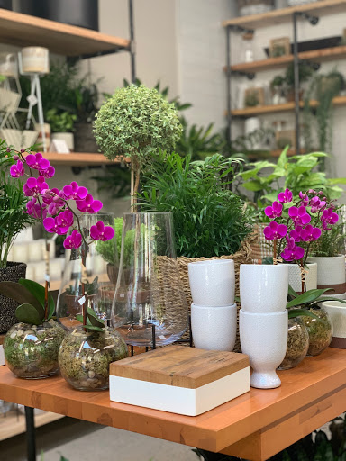 Florist «Englewood Florist, Inc.», reviews and photos, 47 E Palisade Ave, Englewood, NJ 07631, USA