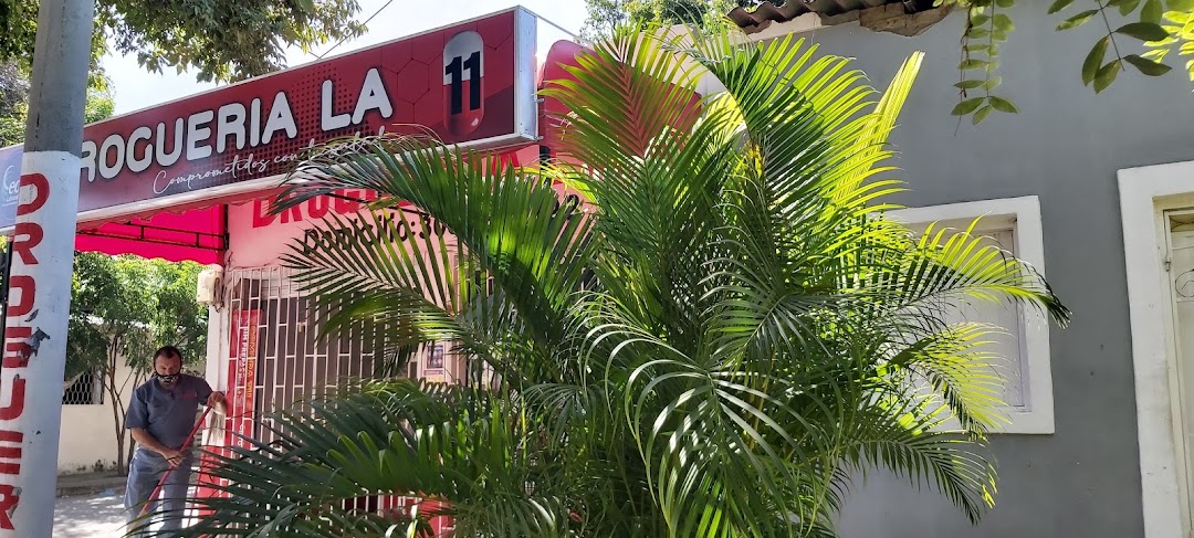 DOGUERIA LA 11