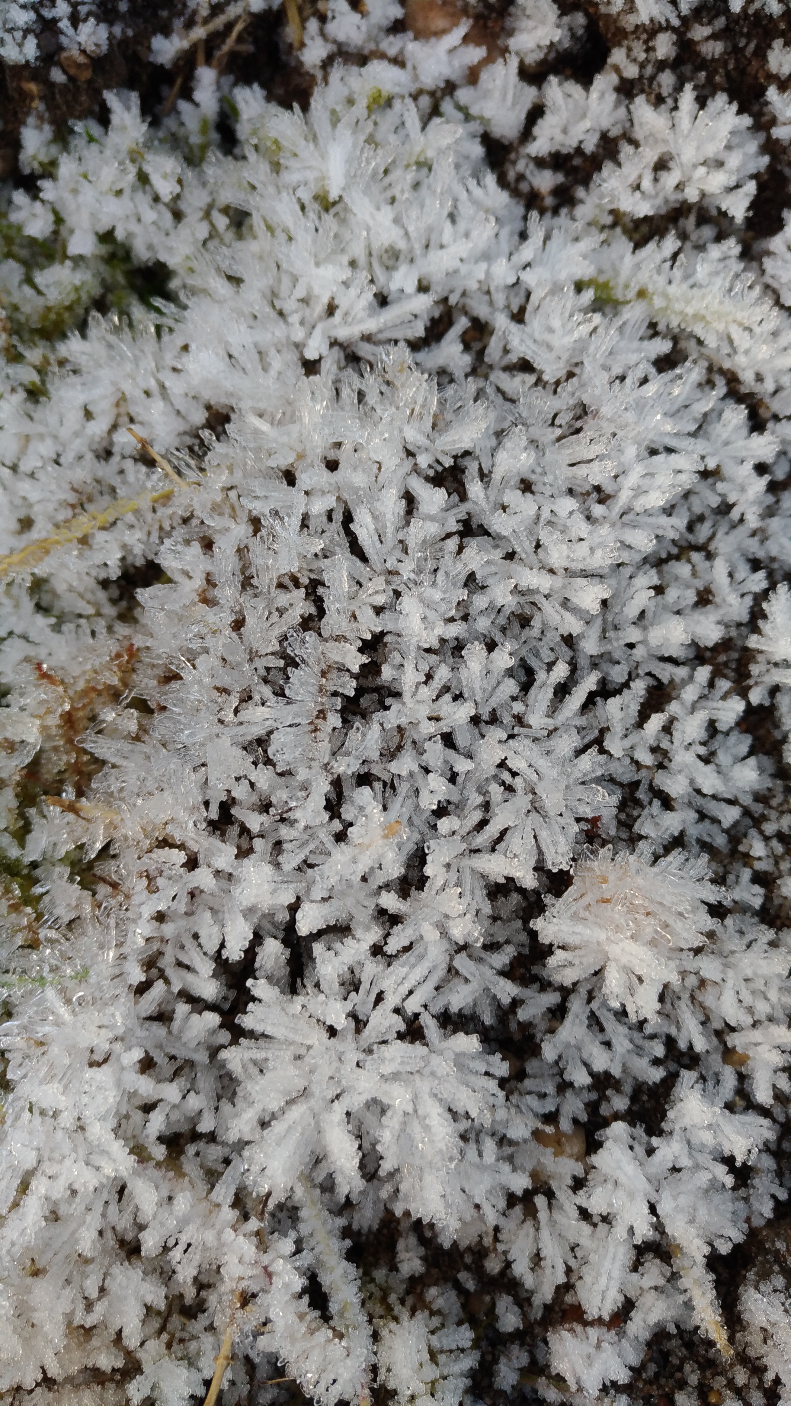 Photo n° 24 de l'avis de Chrystelle.e fait le 21/04/2019 à 16:16