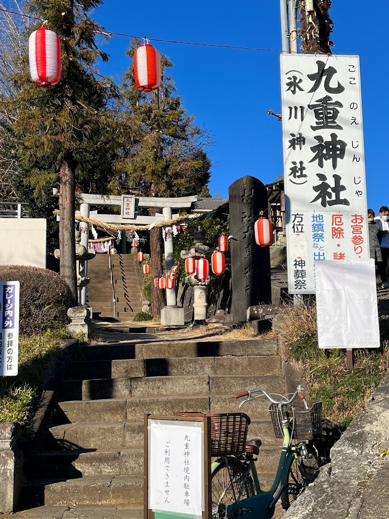 九重神社のスダジイ
